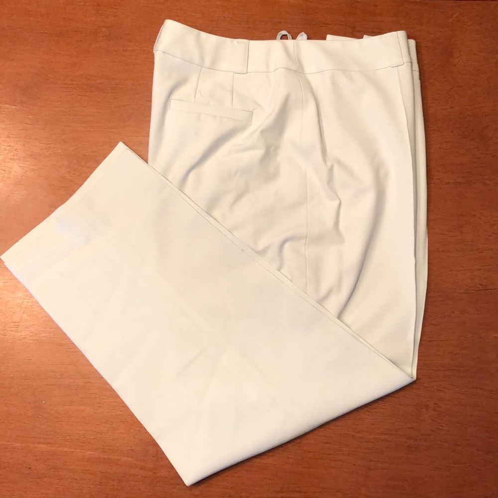 Talbots Size 8 light blue lined pants